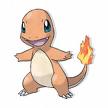 charizard.jpg